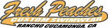 made-in-california-manufacturer-fresh-peaches-custom-swimwear.jpg