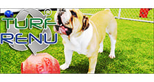 made-in-california-manufacturer-renu-cleaners-llc-turf-renu