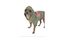 made-in-california-manufacturer-ruff-ruff-and-meow-aye-chihuahua-hoodie