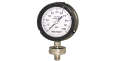 made-in-california-manufacturer-reotemp-instrument-corporation-series-ms8g-small