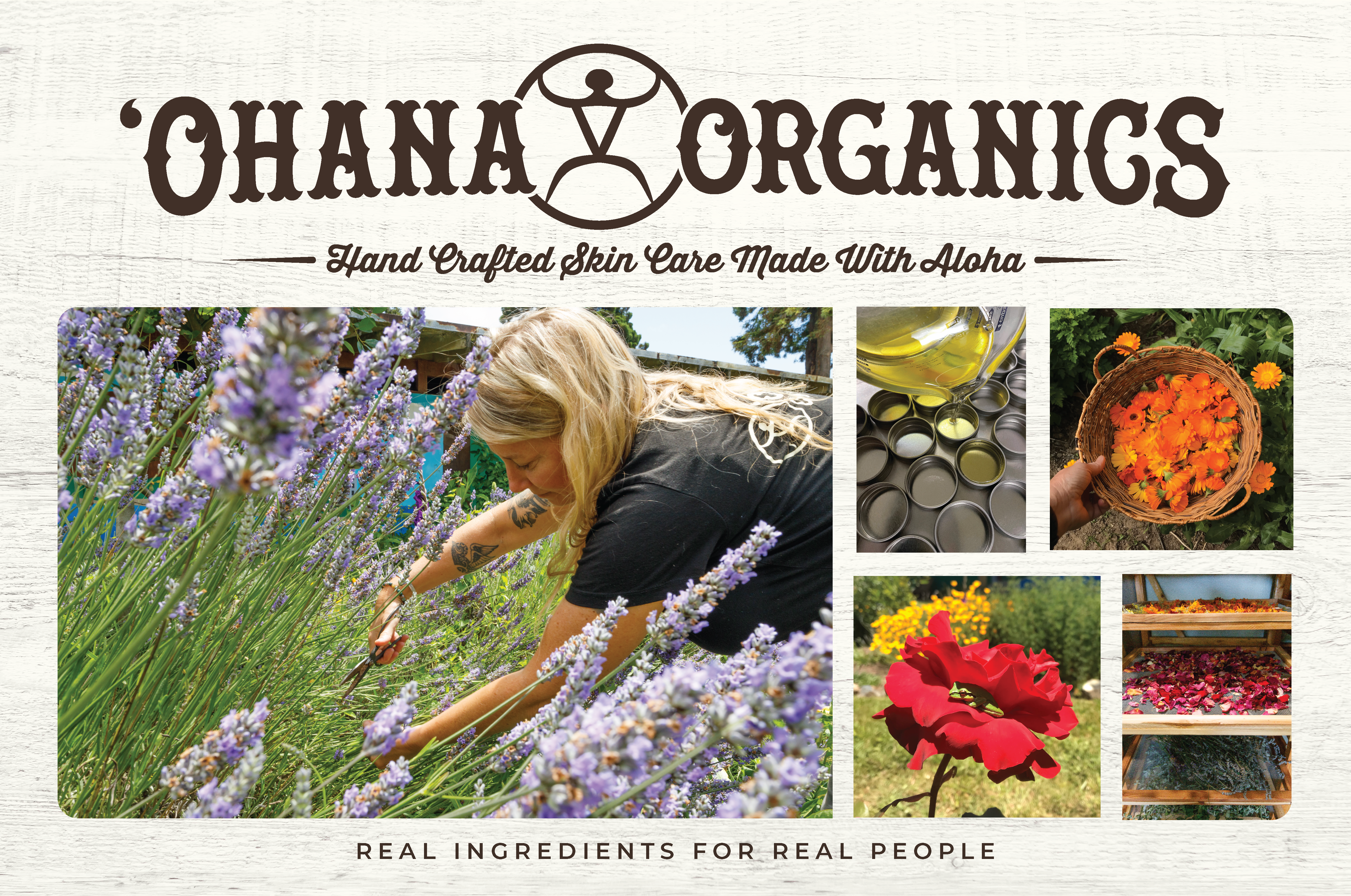 Ohana 2024 4x6 Post Card - Front  