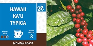 Made-in-California-manufacturer-Klatch-Coffee-Hawaii-Kau-Typica-Combined-photos.jpg