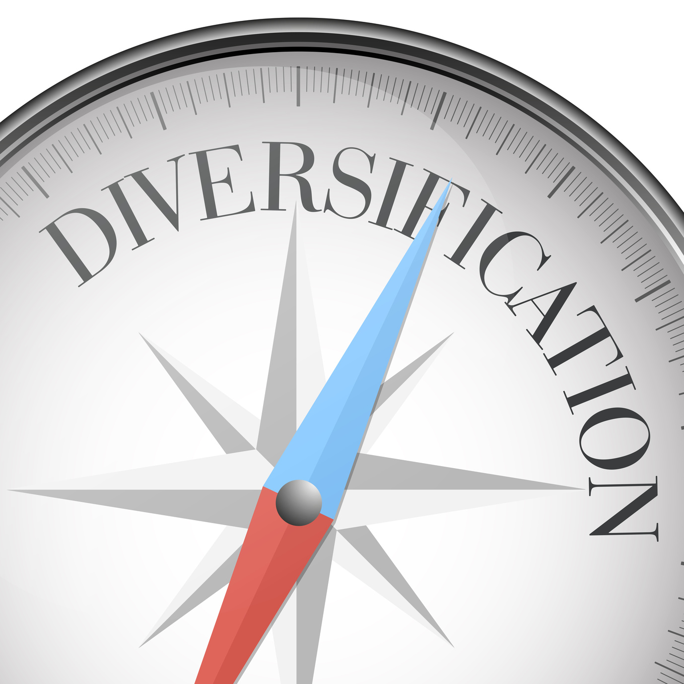 Diversification The Key to Improving Your Organization's Stability